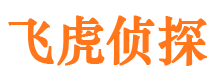 沙市捉小三公司